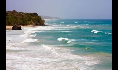 marinuvas's profile picture. 