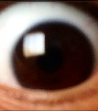 NeyisRisitos's profile picture. 