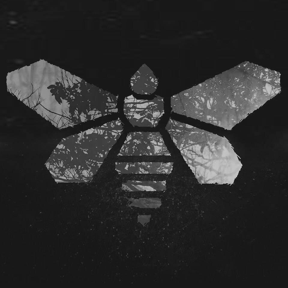 MamothBand's profile picture. We're a six piece band from London with an eclectic approach to alternative rock.