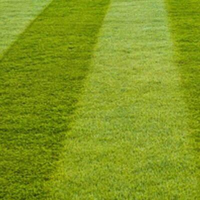 Fertilize. Water. Mow. Repeat.
