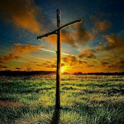 KcKcathcart's profile picture. 