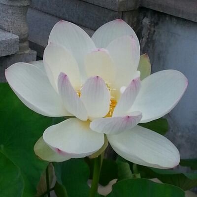 마음이 무엇인지 몰라 공부하고 있습니다