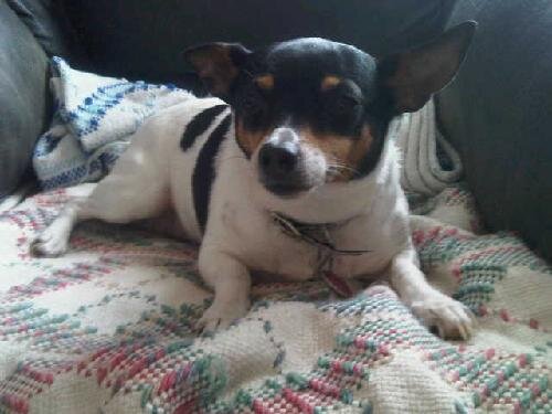 LLBurns_1970's profile picture. 