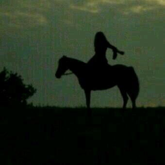 AZSO5317's profile picture. انا فتاة مختلفه احمل في داخلي روح حنونه لکنها تتعب عندما تضيق بها الحياة لست مثاليه ولكن اقسم بان نيتي طاهرة للجميع ↫ ی ابن ادم الخاص لا یروق لی