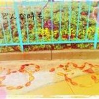 なぎこ (@kidv_7) 's Twitter Profile