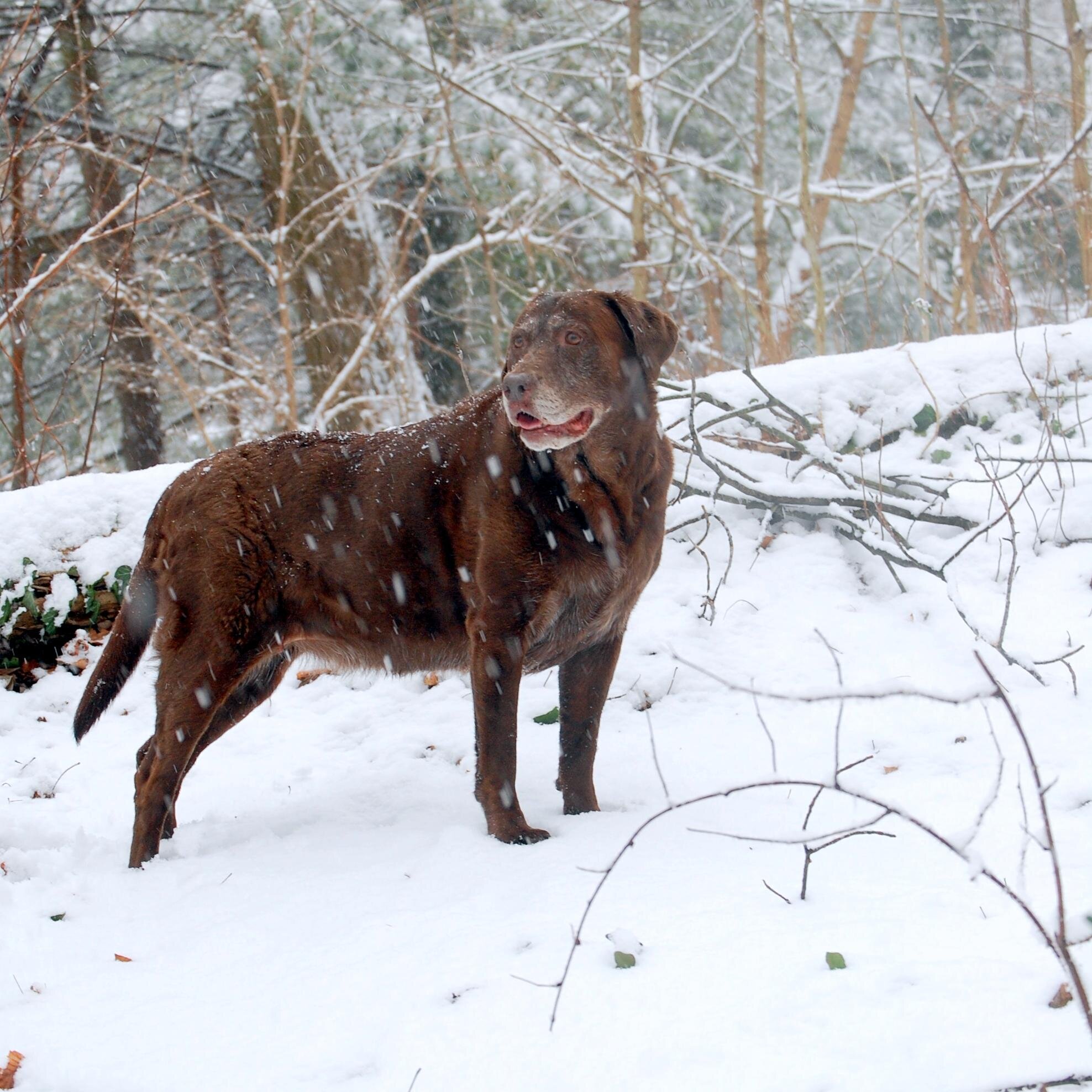 BAC716's profile picture. 