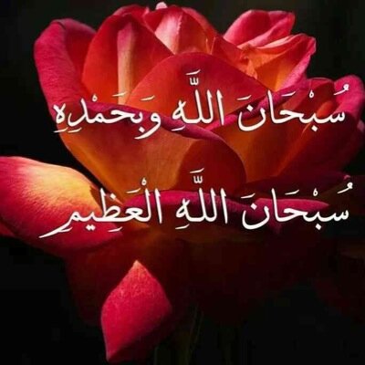 سبحان الله وبحمده....سبحان الله العظيم.. لاإله الا انت سبحانك ان كنت من الظالمين€