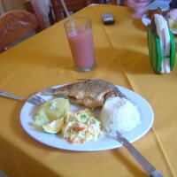 Comer sano (@tcapote2) 's Twitter Profile Photo Comer sano (@tcapote2) 's Twitter Profile Photo