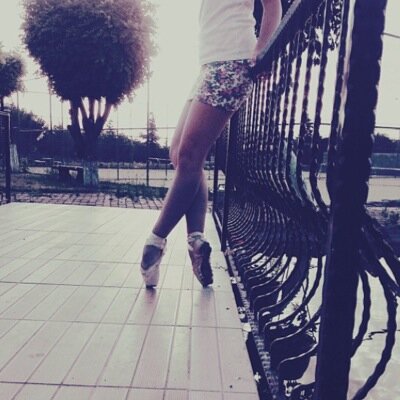 Rudikidrauhl's profile picture. 