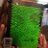 mason_weir's profile image