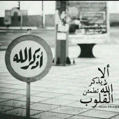شآب سعودي - أوصل جميع الطلبات وإلى أي موقع .. المنطقة الوسطى والشمالية والجنوبية والغربية والشرقية .. - 0530701718