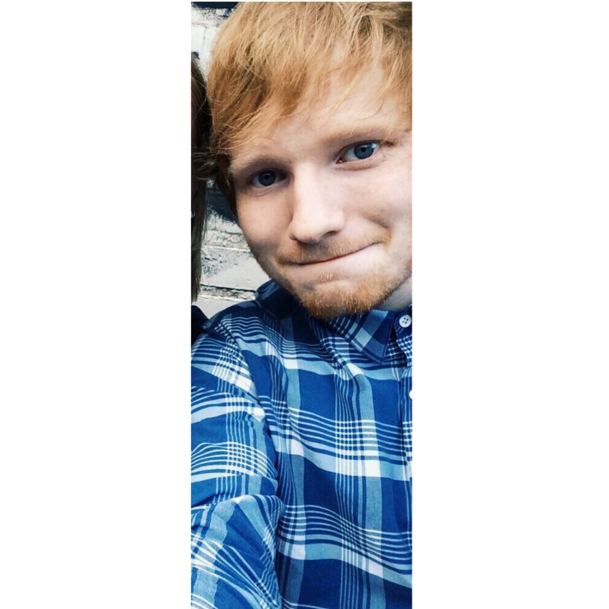 edfistme's profile picture. im really into that ed sheeran character