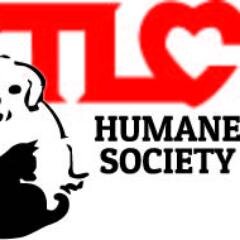 Welcome to TLC Humane Society! The only no-kill, non-profit animal shelter in Dahlonega, GA.