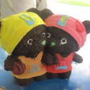 Diana Pan - @Diana_L_Pan - Twitter