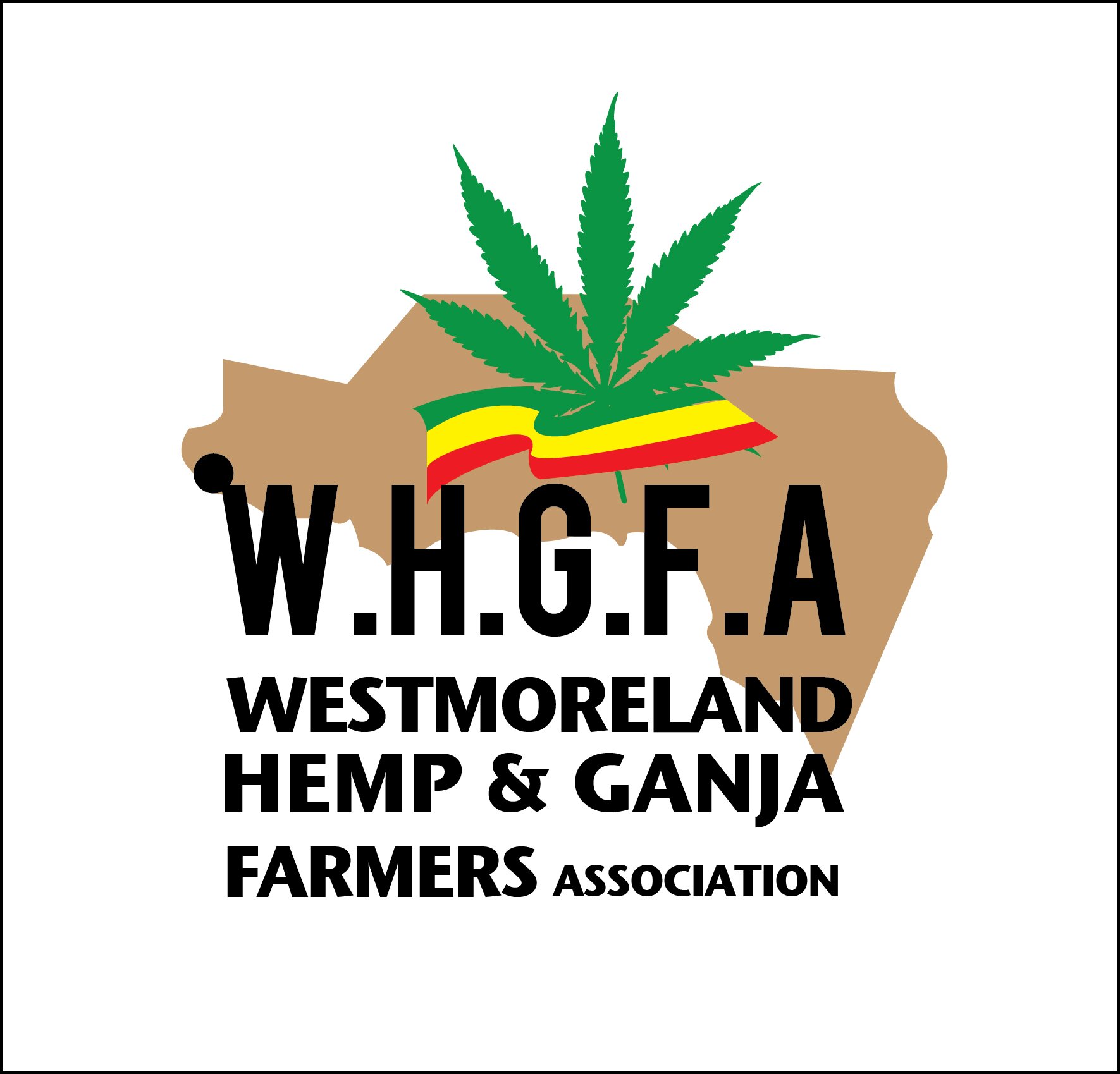 A #ganja #collective empowering traditional #farmers in Westmoreland, to benefit from a new #greengoldrush for #jamaicanganja. https://t.co/PFQ6bQ3FlX