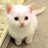 ChickFool's Twitter (X) avatar