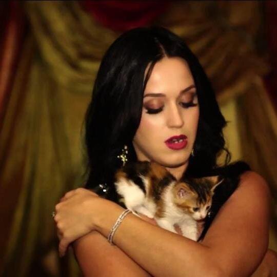 I WANT TO INSPIRE PEOPLE TO LET THEIR TRUE LIGHT SHINETO LIVE A FULL LIFE AND ACHIEVE THEIR DREAMS. BY MY IDOL KATY PERRY 33