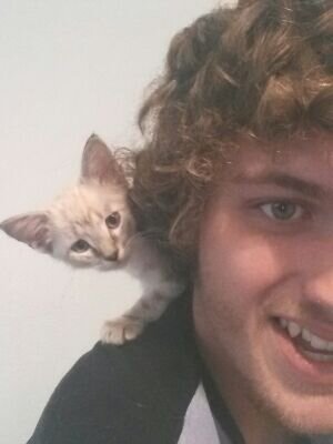 macintoshplush's profile picture. Taking rips of these #'s