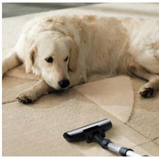 AceVacs's profile picture. Local, Family Owned and Operated Vacuum Store for 36 years. We specialize in vacuum sales, service & repair. Miele, Riccar, Sebo, Dyson