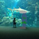 Jamie Pea - @MaeBeesMom - Twitter