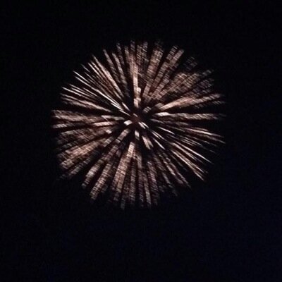 saramac303's profile picture. 