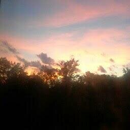 outdoornikki's profile picture. 