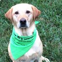 Kristin Manuel - @maxnlakin1221 - Twitter