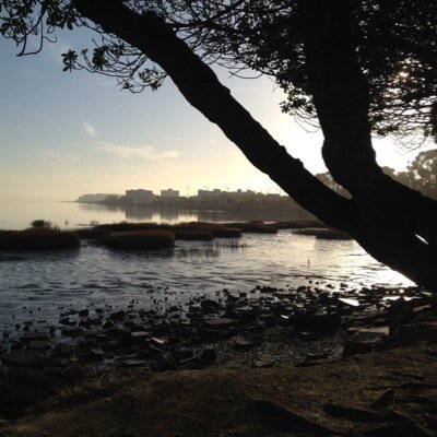 AbbateChristina's profile picture. 