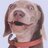 TheWolfSandwich's profile image