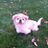 Crystal_Etre's profile image