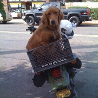 Today in Portland (@todayinportland) 's Twitter Profile