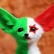 LesFennecs123's profile picture. Je vous felicite les Fennecs pour votre fabuleuse coupe du monde