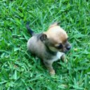 Jonathan Morehouse - @morehouse593 - Twitter