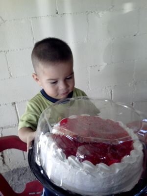 Ama de casa, bien hogareña