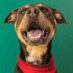 Cute Pets Norfolk (@cutepetsnorfolk) Twitter profile photo Cute Pets Norfolk (@cutepetsnorfolk) Twitter profile photo