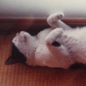 boo_glico's profile picture. Tokyo, JAPAN