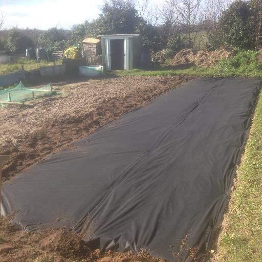 A Collection of Amateur Hints & Tips for the Gardener or Allotmenteer and some regular updates about my own allotment, All the way from Norfolk, England.