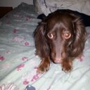 Diane Rioux - @41c0970a8aa6420 - Twitter