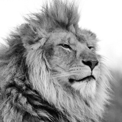 xX_MALDD_Xx's profile picture. Hi! ;)