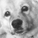 Chris Bent - @chrisbent2816 - Twitter