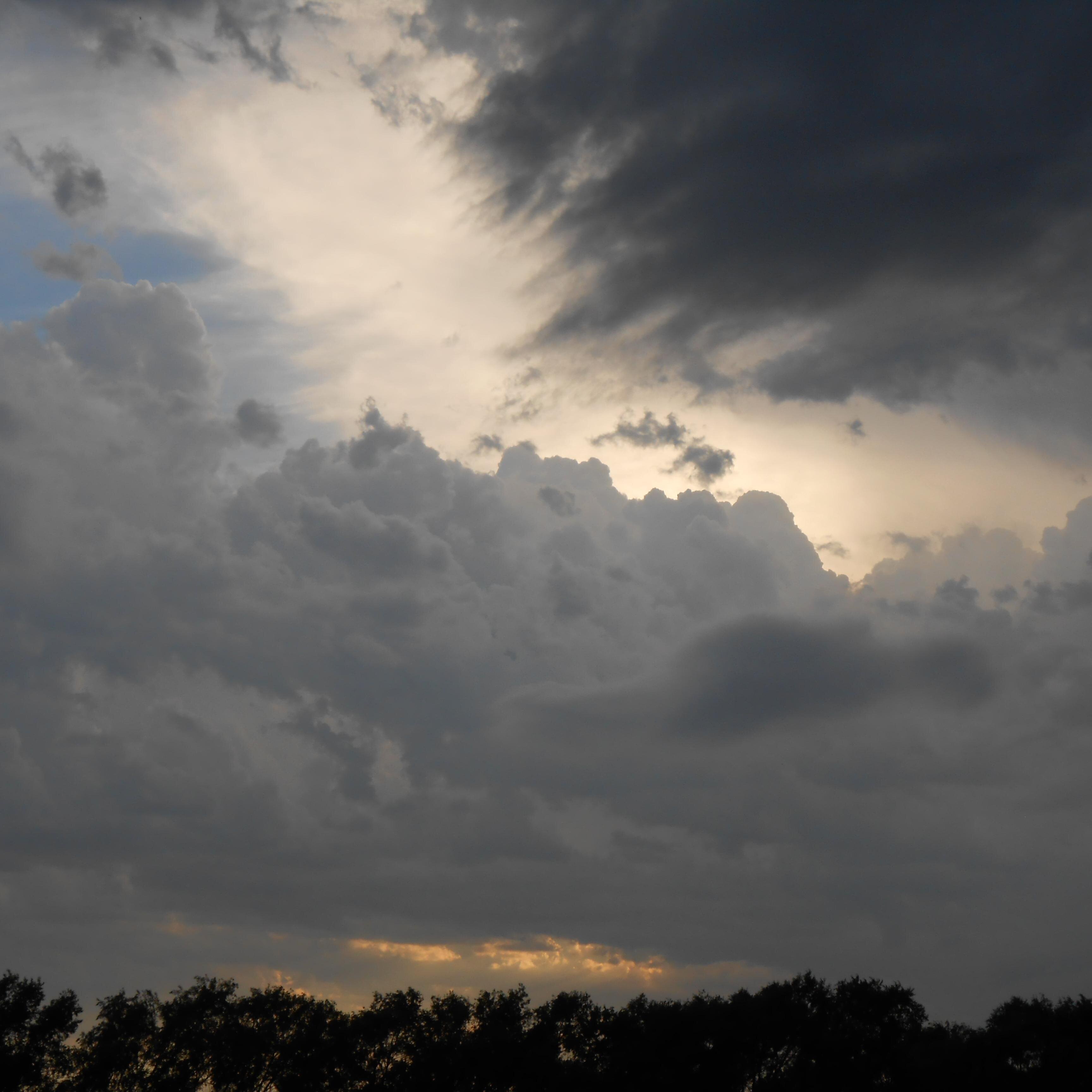 sharonshriver's profile picture. 