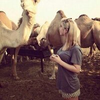 الشامخ (@bsshail) 's Twitter Profile