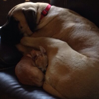 DankitsRandy's profile picture. 