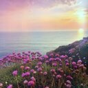 اوررررررررى (@00005550001) Twitter