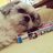 tenn_214