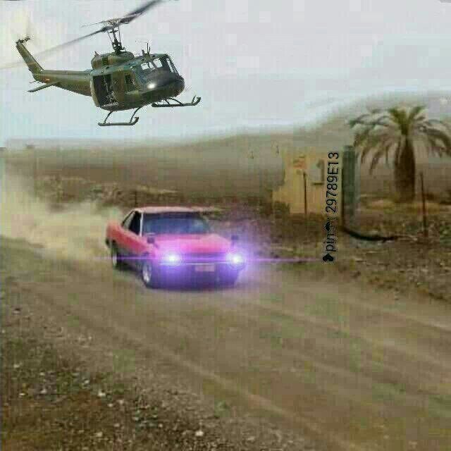 hamoooooooody11's profile picture. 