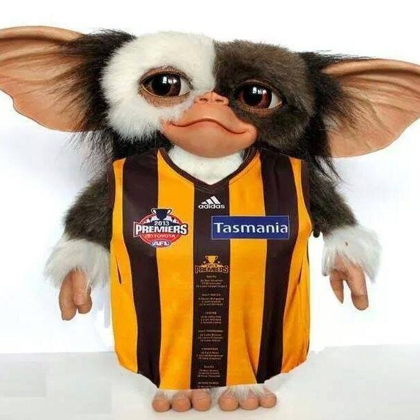 Live near Melbourne, follow the Mighty Hawks, become a Grey Nomad in the off season.