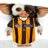 russmay49's profile image