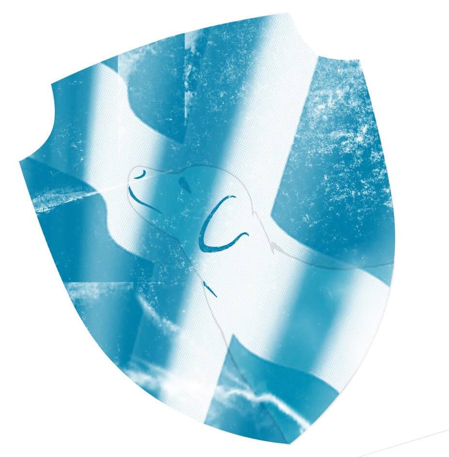 Scottishsearch's profile picture. We specialise in providing search dog teams to companies across Scotland and the UK.