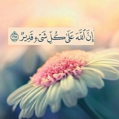 ‏‏‏‏‏‏‏‏‏‏استغفرالله.. سبحان الله.. الحمدالله.. الله أكبر   ...لااله الاالله محمد رسول الله..